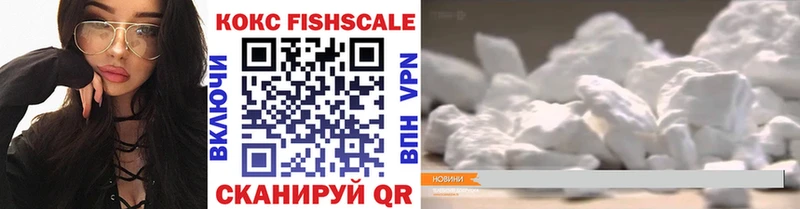 Cocaine Fish Scale  MEGA ссылка  Тейково  продажа наркотиков 