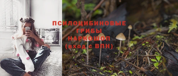 таблы Алексеевка