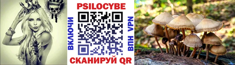 KRAKEN зеркало  Тейково  Псилоцибиновые грибы ЛСД 